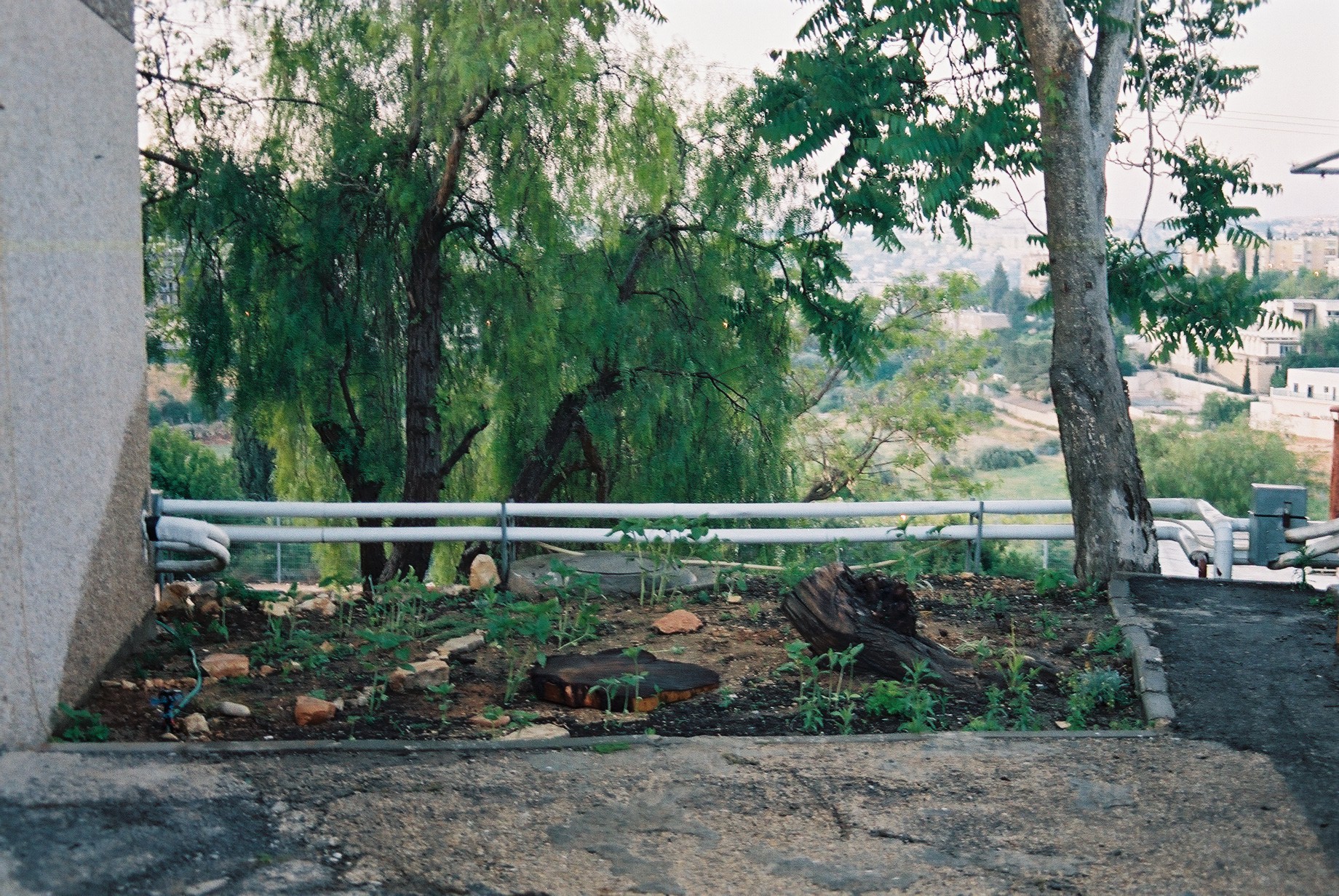 garden in jerusalem