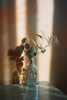  photographer Dmitry Margolin